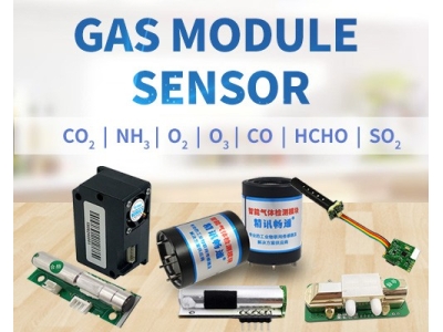 Various gas sensor modules gas detector sensor