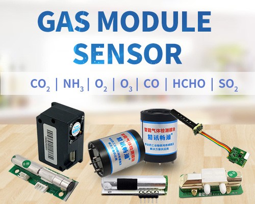 Various gas sensor modules gas detector sensor