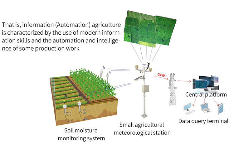 sensor detector