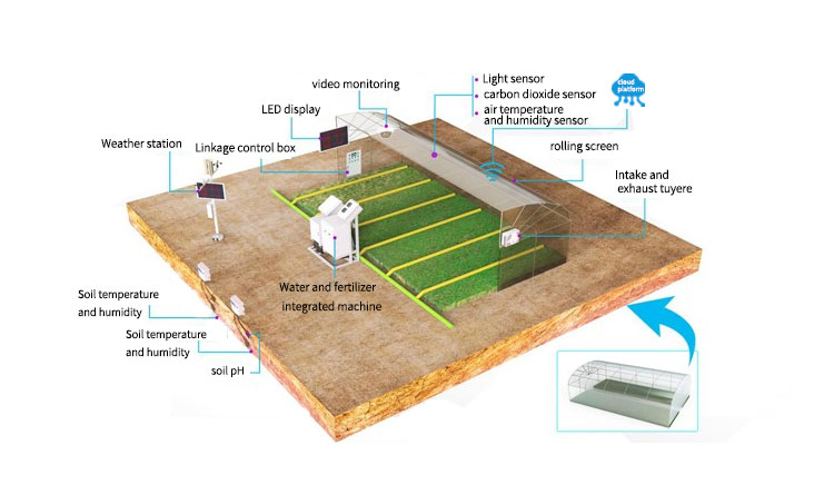 sensor detector