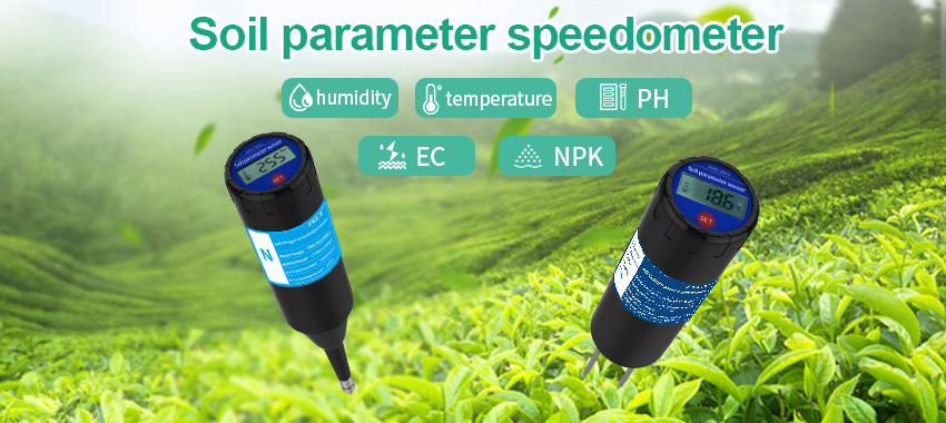 sensor detector
