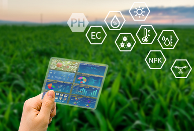 Digging into Precision Agriculture: Revolutionizing Farming with Soil Sensors