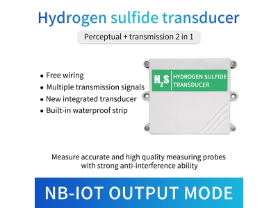 Lora/4g/Gprs/NB Hydrogen sulfide gas detector h2s gas sensor with cloud server