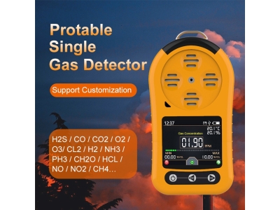 portable gas sensor