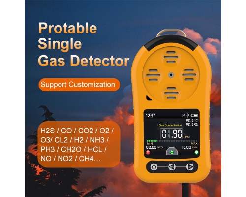 portable gas sensor